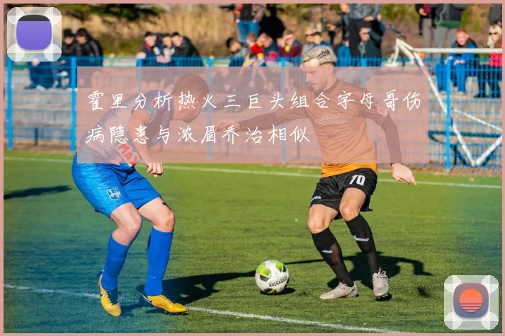 霍里分析热火三巨头组合字母哥伤病隐患与浓眉乔治相似